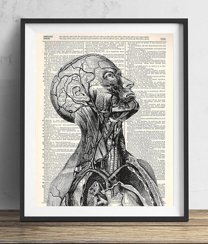 Vintage Anatomy Illustration Art, Dictionary Print, Antique Wall Art Home Decor, Modern Boho, Medical Posters, Farmhouse Decoration 8x10 Inches, Ready To Frame (Anatomy Illustration #1)