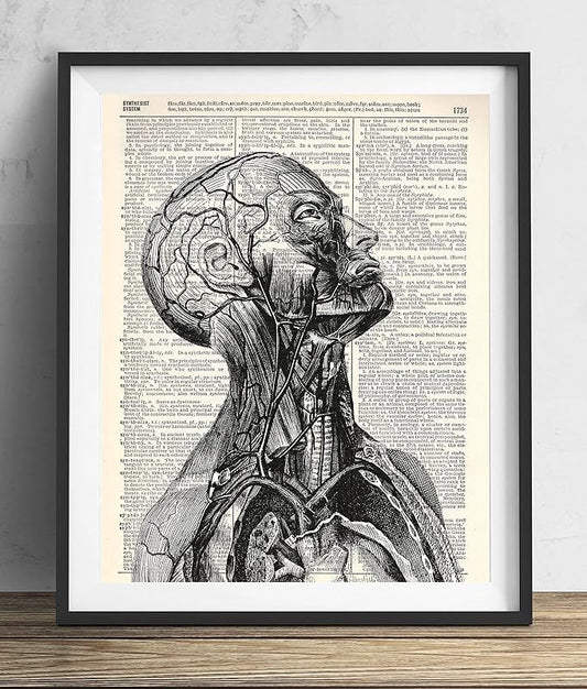 Vintage Anatomy Illustration Art, Dictionary Print, Antique Wall Art Home Decor, Modern Boho, Medical Posters, Farmhouse Decoration 8x10 Inches, Ready To Frame (Anatomy Illustration #1)