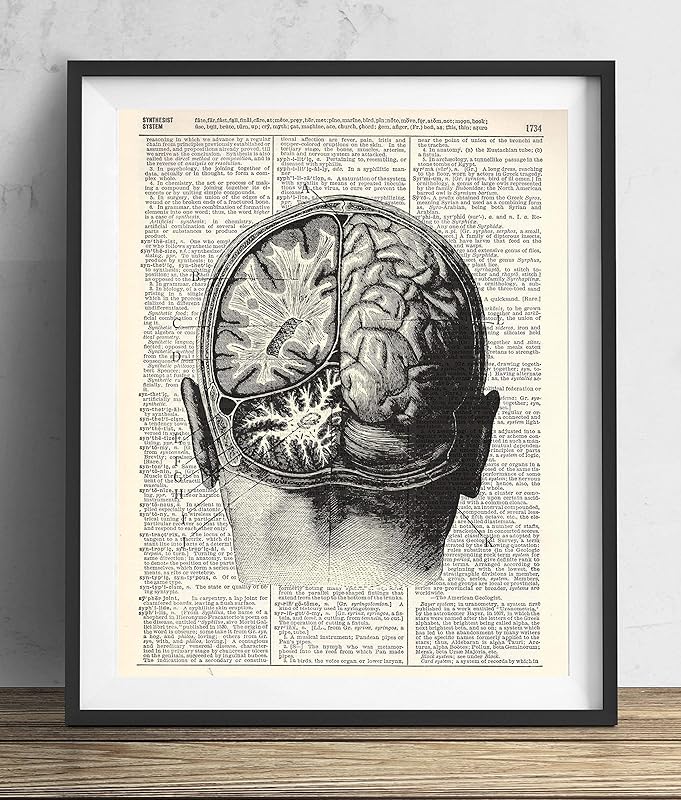 Vintage Anatomy Illustration Art, Dictionary Print, Antique Wall Art Home Decor, Modern Boho, Medical Posters, Farmhouse Decoration 8x10 Inches, Ready To Frame (Brain Dissection)