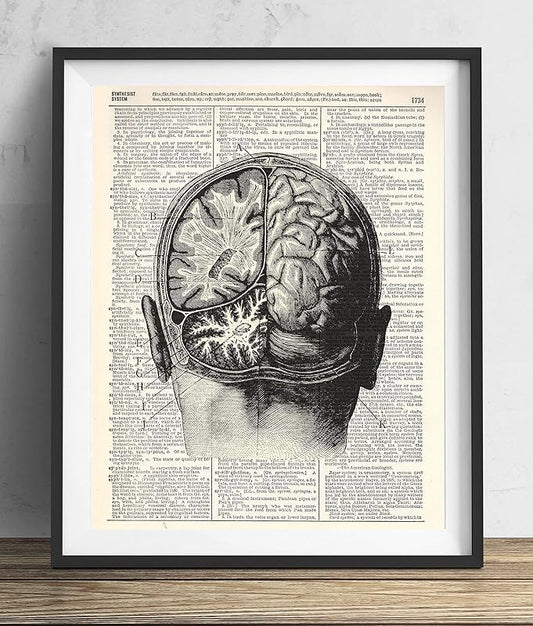 Vintage Anatomy Illustration Art, Dictionary Print, Antique Wall Art Home Decor, Modern Boho, Medical Posters, Farmhouse Decoration 8x10 Inches, Ready To Frame (Brain Dissection)